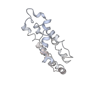 9976_6kgx_d7_v1-1
Structure of the phycobilisome from the red alga Porphyridium purpureum