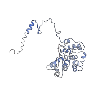 9976_6kgx_d9_v1-1
Structure of the phycobilisome from the red alga Porphyridium purpureum