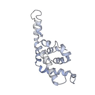 9976_6kgx_dB_v1-1
Structure of the phycobilisome from the red alga Porphyridium purpureum
