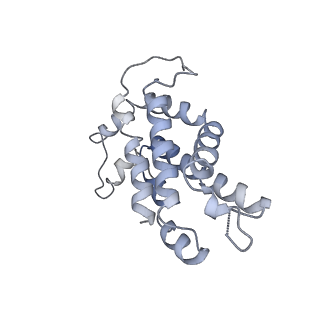 9976_6kgx_dG_v1-1
Structure of the phycobilisome from the red alga Porphyridium purpureum