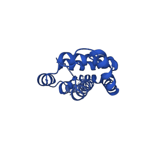 9976_6kgx_dH_v1-1
Structure of the phycobilisome from the red alga Porphyridium purpureum