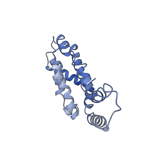 9976_6kgx_dI_v1-1
Structure of the phycobilisome from the red alga Porphyridium purpureum