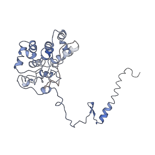 9976_6kgx_dJ_v1-1
Structure of the phycobilisome from the red alga Porphyridium purpureum