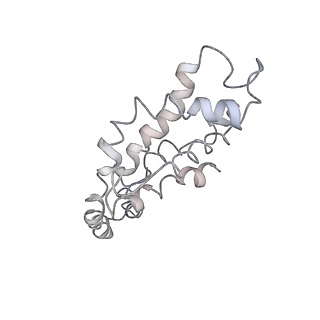 9976_6kgx_e1_v1-1
Structure of the phycobilisome from the red alga Porphyridium purpureum