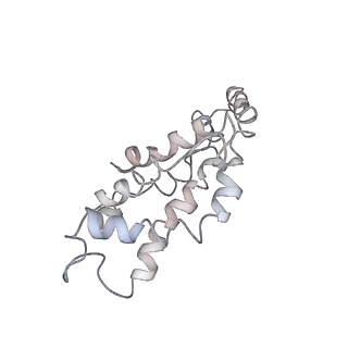 9976_6kgx_e4_v1-1
Structure of the phycobilisome from the red alga Porphyridium purpureum