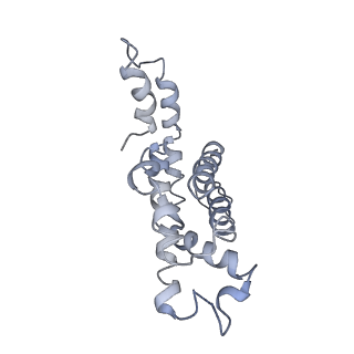 9976_6kgx_e6_v1-1
Structure of the phycobilisome from the red alga Porphyridium purpureum