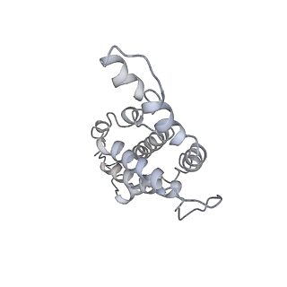9976_6kgx_e7_v1-1
Structure of the phycobilisome from the red alga Porphyridium purpureum