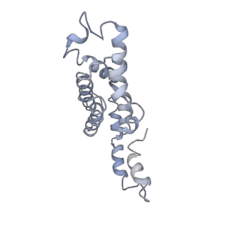 9976_6kgx_eB_v1-1
Structure of the phycobilisome from the red alga Porphyridium purpureum