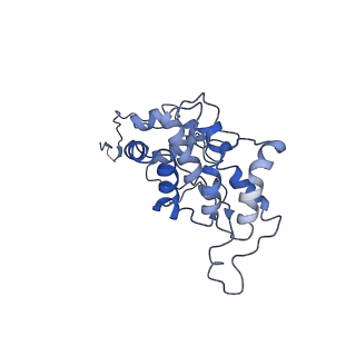 9976_6kgx_eD_v1-1
Structure of the phycobilisome from the red alga Porphyridium purpureum