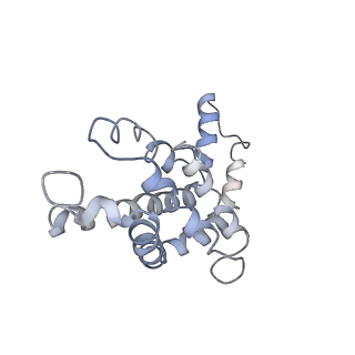 9976_6kgx_eE_v1-1
Structure of the phycobilisome from the red alga Porphyridium purpureum