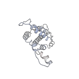 9976_6kgx_eF_v1-1
Structure of the phycobilisome from the red alga Porphyridium purpureum