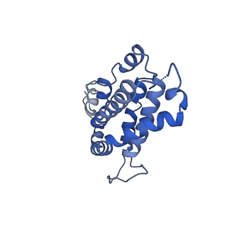 9976_6kgx_eI_v1-1
Structure of the phycobilisome from the red alga Porphyridium purpureum