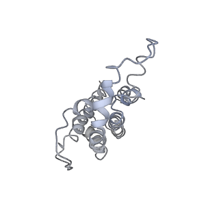 9976_6kgx_f1_v1-1
Structure of the phycobilisome from the red alga Porphyridium purpureum