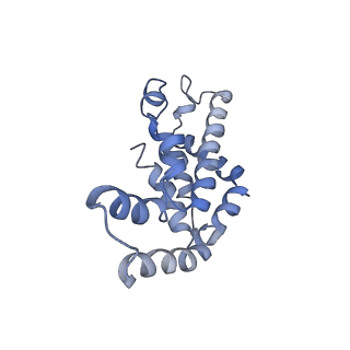9976_6kgx_f2_v1-1
Structure of the phycobilisome from the red alga Porphyridium purpureum