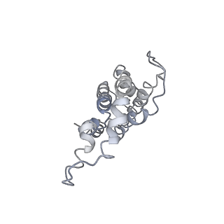 9976_6kgx_f4_v1-1
Structure of the phycobilisome from the red alga Porphyridium purpureum