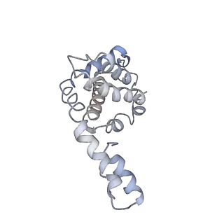 9976_6kgx_f6_v1-1
Structure of the phycobilisome from the red alga Porphyridium purpureum