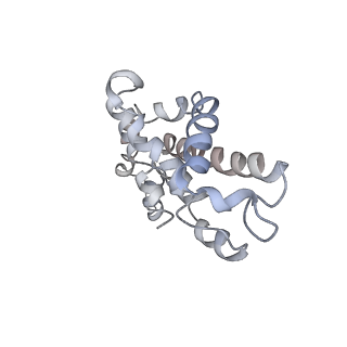 9976_6kgx_f7_v1-1
Structure of the phycobilisome from the red alga Porphyridium purpureum