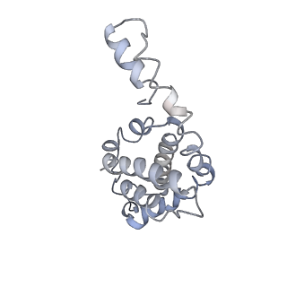 9976_6kgx_fB_v1-1
Structure of the phycobilisome from the red alga Porphyridium purpureum