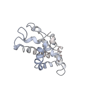 9976_6kgx_fF_v1-1
Structure of the phycobilisome from the red alga Porphyridium purpureum