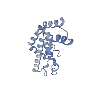 9976_6kgx_fI_v1-1
Structure of the phycobilisome from the red alga Porphyridium purpureum