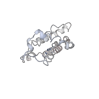 9976_6kgx_g1_v1-1
Structure of the phycobilisome from the red alga Porphyridium purpureum