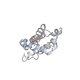 9976_6kgx_g4_v1-1
Structure of the phycobilisome from the red alga Porphyridium purpureum