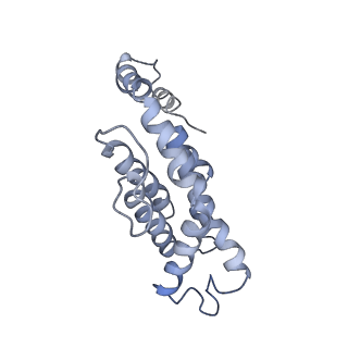 9976_6kgx_g6_v1-1
Structure of the phycobilisome from the red alga Porphyridium purpureum