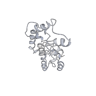 9976_6kgx_g7_v1-1
Structure of the phycobilisome from the red alga Porphyridium purpureum