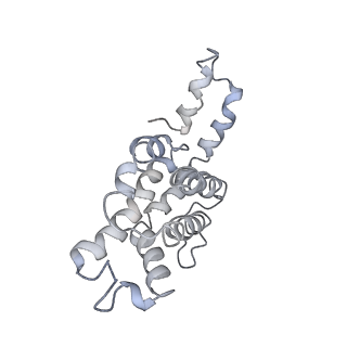 9976_6kgx_g8_v1-1
Structure of the phycobilisome from the red alga Porphyridium purpureum