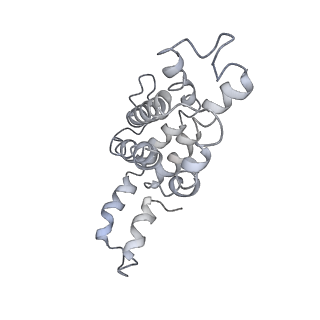 9976_6kgx_gA_v1-1
Structure of the phycobilisome from the red alga Porphyridium purpureum
