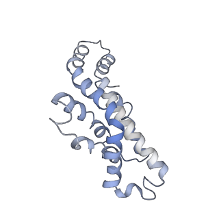 9976_6kgx_gE_v1-1
Structure of the phycobilisome from the red alga Porphyridium purpureum