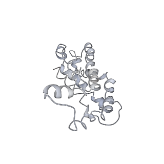 9976_6kgx_gF_v1-1
Structure of the phycobilisome from the red alga Porphyridium purpureum