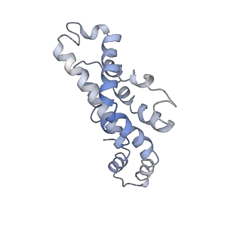 9976_6kgx_gG_v1-1
Structure of the phycobilisome from the red alga Porphyridium purpureum