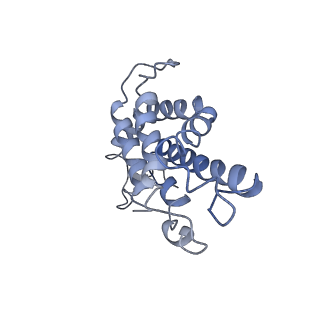 9976_6kgx_gI_v1-1
Structure of the phycobilisome from the red alga Porphyridium purpureum
