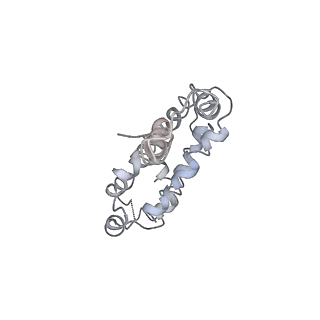 9976_6kgx_h1_v1-1
Structure of the phycobilisome from the red alga Porphyridium purpureum