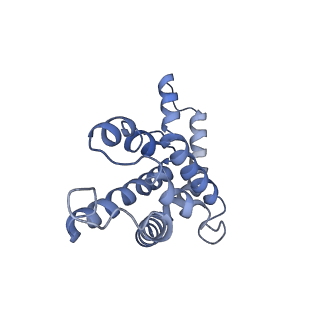 9976_6kgx_h2_v1-1
Structure of the phycobilisome from the red alga Porphyridium purpureum