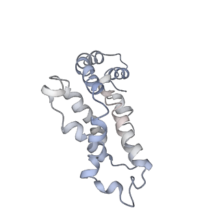 9976_6kgx_h6_v1-1
Structure of the phycobilisome from the red alga Porphyridium purpureum