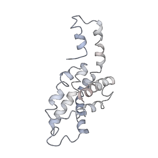 9976_6kgx_h8_v1-1
Structure of the phycobilisome from the red alga Porphyridium purpureum