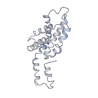 9976_6kgx_hA_v1-1
Structure of the phycobilisome from the red alga Porphyridium purpureum