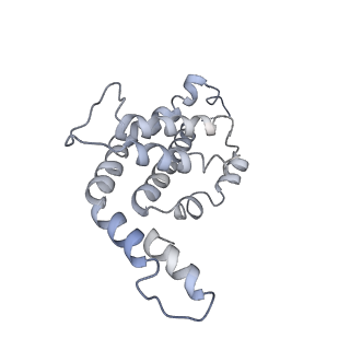 9976_6kgx_hE_v1-1
Structure of the phycobilisome from the red alga Porphyridium purpureum