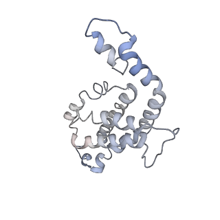 9976_6kgx_hG_v1-1
Structure of the phycobilisome from the red alga Porphyridium purpureum