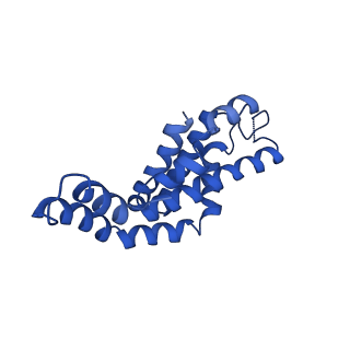 9976_6kgx_hH_v1-1
Structure of the phycobilisome from the red alga Porphyridium purpureum