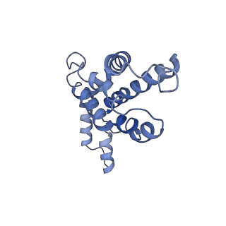 9976_6kgx_hI_v1-1
Structure of the phycobilisome from the red alga Porphyridium purpureum