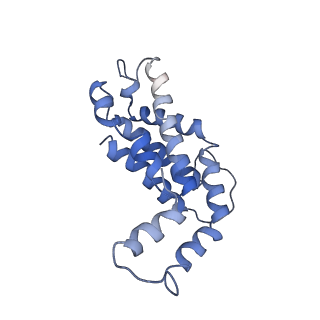 9976_6kgx_i2_v1-1
Structure of the phycobilisome from the red alga Porphyridium purpureum