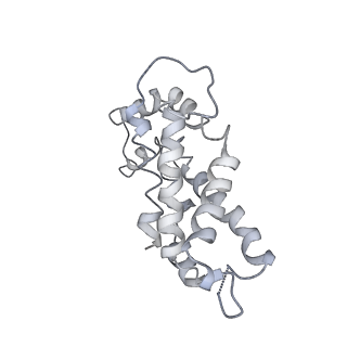 9976_6kgx_i7_v1-1
Structure of the phycobilisome from the red alga Porphyridium purpureum