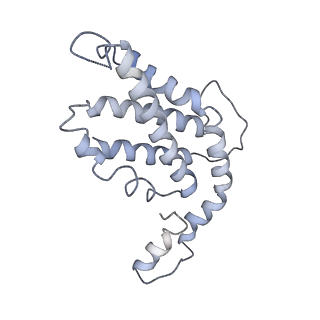 9976_6kgx_i8_v1-1
Structure of the phycobilisome from the red alga Porphyridium purpureum