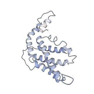9976_6kgx_iA_v1-1
Structure of the phycobilisome from the red alga Porphyridium purpureum