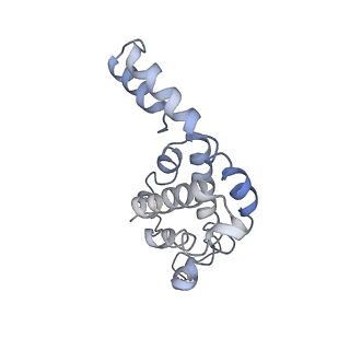 9976_6kgx_iG_v1-1
Structure of the phycobilisome from the red alga Porphyridium purpureum