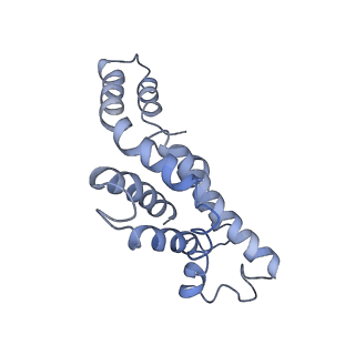9976_6kgx_j2_v1-1
Structure of the phycobilisome from the red alga Porphyridium purpureum