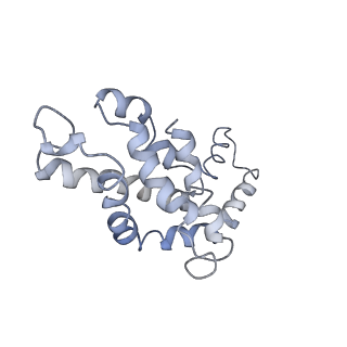 9976_6kgx_j6_v1-1
Structure of the phycobilisome from the red alga Porphyridium purpureum